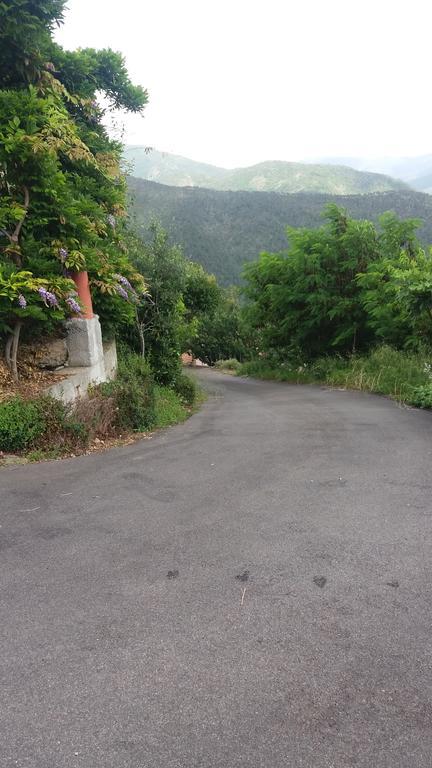 Olivella Caminata N 41G Apartamento Casarza Ligure Exterior foto